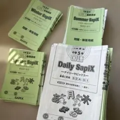 2026年最新】Sapix 5年 夏期講習の人気アイテム - メルカリ