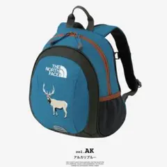 【新品】ザ・ノースフェイス キッズリュック
