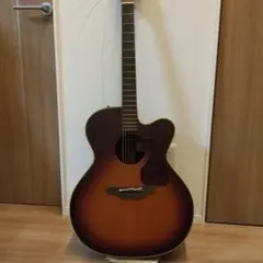 Takamine NPT-012BS アコースティックギター