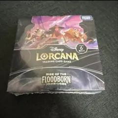 ブラッドボーンの混沌 ディズニー ロルカナ シュリンク付 BOX - メルカリ