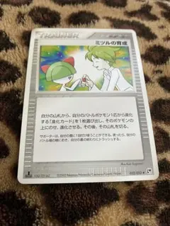ポケカ　ミツルの育成　3120のサムネイル