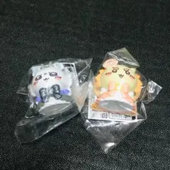 モモンガ　シーサー