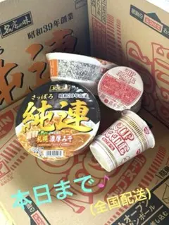 日清カップヌードル・サッポロ一番 純連 濃厚味噌(全52点)のサムネイル