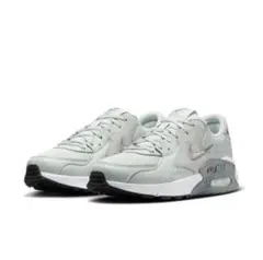 Nike Airmax エクシー CD5432-012 スニーカー
