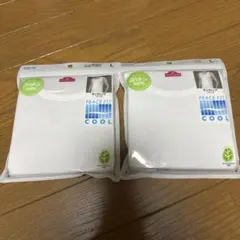 Item thumbnail for item 68f02a1f-0e24-4062-804d-ec76d43f5a0b