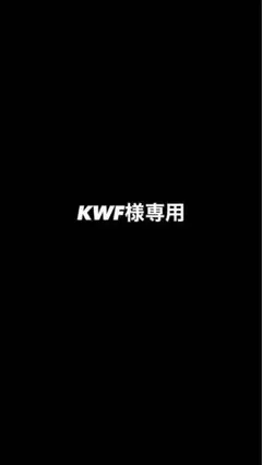 専用