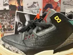 Air Jordan 3 Retro SE AnimalInstinct 2.0