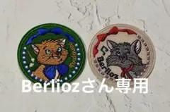 Item thumbnail for item 1a0fff34-a1a1-4647-899e-c5db44a42b46