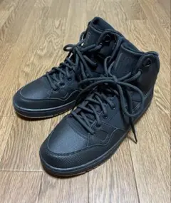 Item thumbnail for item 8dbd3b52-c84b-4642-8d34-fd3cee287b00