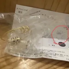 うちの子けだまだま　猫　シャムトラ