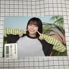 小坂菜緒 日向坂46 ひなたフェス2026 パンフレット 購入特典 生写真