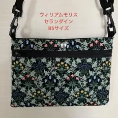 Item thumbnail for item f65260c1-a37d-413e-b9d6-5fc73e383bba