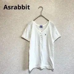 エーズラビット ヘンリーネックTシャツ カットソー 透け感 ホワイト F