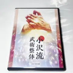 小沢流武術整体 DVD4枚組 小沢真太郎 理学療法 整骨院 手技 難あり 小沢流武術整体 小沢真太郎 整体 理学療法士 【公式通販】