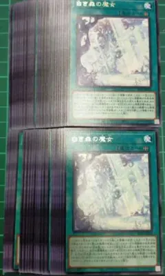 白き森の魔女　50枚セット まとめ売り