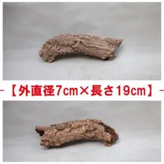 B143 ポルトガル産 キャノン型コルク コルク樹皮 コルク板 バージン