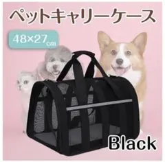 Item thumbnail for item a05a7bc1-924f-47c9-b0b5-3b8d68bc34cb