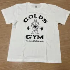 Item thumbnail for item 4dcc6f5e-22da-4e1a-ab87-d919a6bfd962