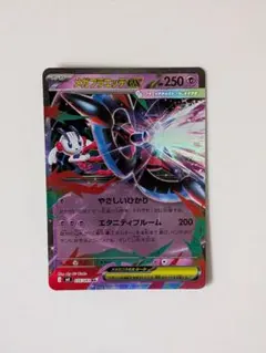 メガフラエッテEX ポケモンカード RR