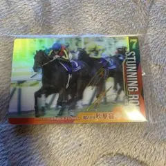 Item thumbnail for item 95c32e80-510f-4d73-94ca-4548d55e7a8a