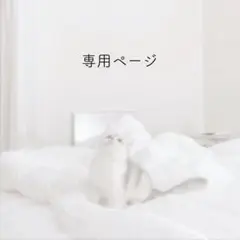 ︎✧ m。 様 専用出品