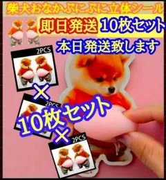おなかぷにぷにシール　柴犬 10枚セット もっちもち立体シールスクイーズ　10個