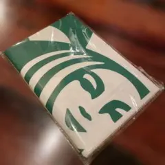 Starbucks レジャーシート ピクニックシート