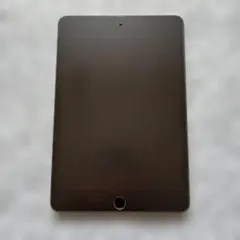 iPad mini5　256GB セルラー/WiFi