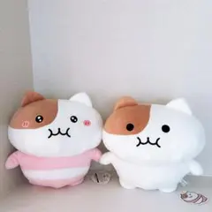 ✨もちにゃみ BIGぬいぐるみ 全2種セット✨ - メルカリ