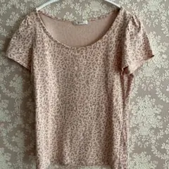 Item thumbnail for item 8b975067-bd7c-428e-9b03-34e0ea13482d