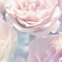 ひかり様専用ページ