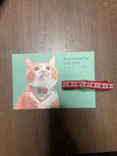 あんじゅ様 リクエスト 2点 まとめ商品