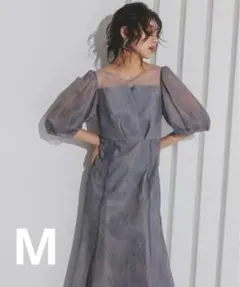 ★新品タグ付き★ドリードール　シアーレースフィット＆フレアードレス　結婚式