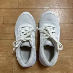 Item thumbnail for item 5b7a683f-0691-4403-8ed5-a91523f58ef9