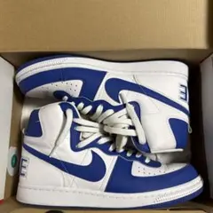 Nike terminator high