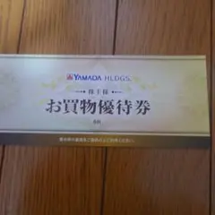 ヤマダ電機 株主優待　3000