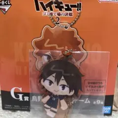 ハイキュー　一番くじ　G賞アクリルチャーム　山口忠