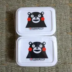 Item thumbnail for item 963a06c3-2cf6-4491-8c28-8b95a3efbd68