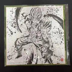 一番くじ ドラゴンボール H賞 色紙 孫悟空＆孫悟飯 墨絵 親子かめはめ波
