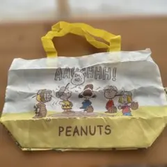 PEANUTS キャラクター バッグ　スヌーピー　縦18×横28cmマチ9cm
