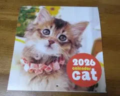 Item thumbnail for item 147e73fd-edb9-4a02-97d4-2ed32507828b