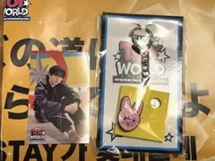 straykids スキズ　チャンビン　キーホルダー&トレカ　セット