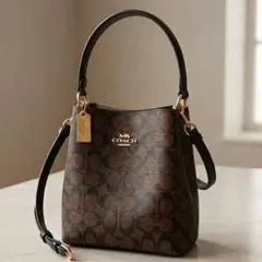 【極美品】✨COACH シグネチャー バケットバッグ ショルダーバッグ　2way