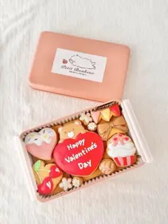 ⭐︎コ様専用　指定あり2/9発送