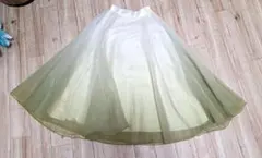 【美品】エイミーイストワール　グラデーションスカートのサムネイル