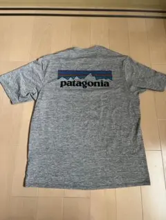 patagonia CAPILENE COOL DAILY Tシャツ S グレー