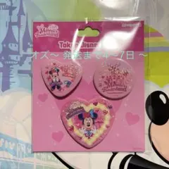 ディズニー⭐️ディズニーパルパルーザ ミニーのファンダーランド カンバッジ