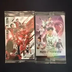 男子バレーボール　日本代表　ツインウエハース トレーディングカード