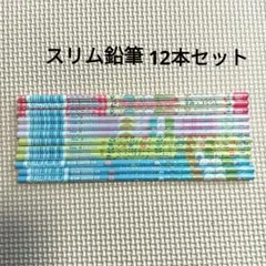 すみっコぐらし 細えんぴつ2B わくわくコレクション スリム鉛筆　12本セット