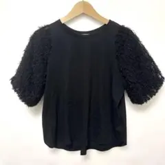 DRESSTERIOR フェザーチュールスリーブカットブルオーバー　36のサムネイル